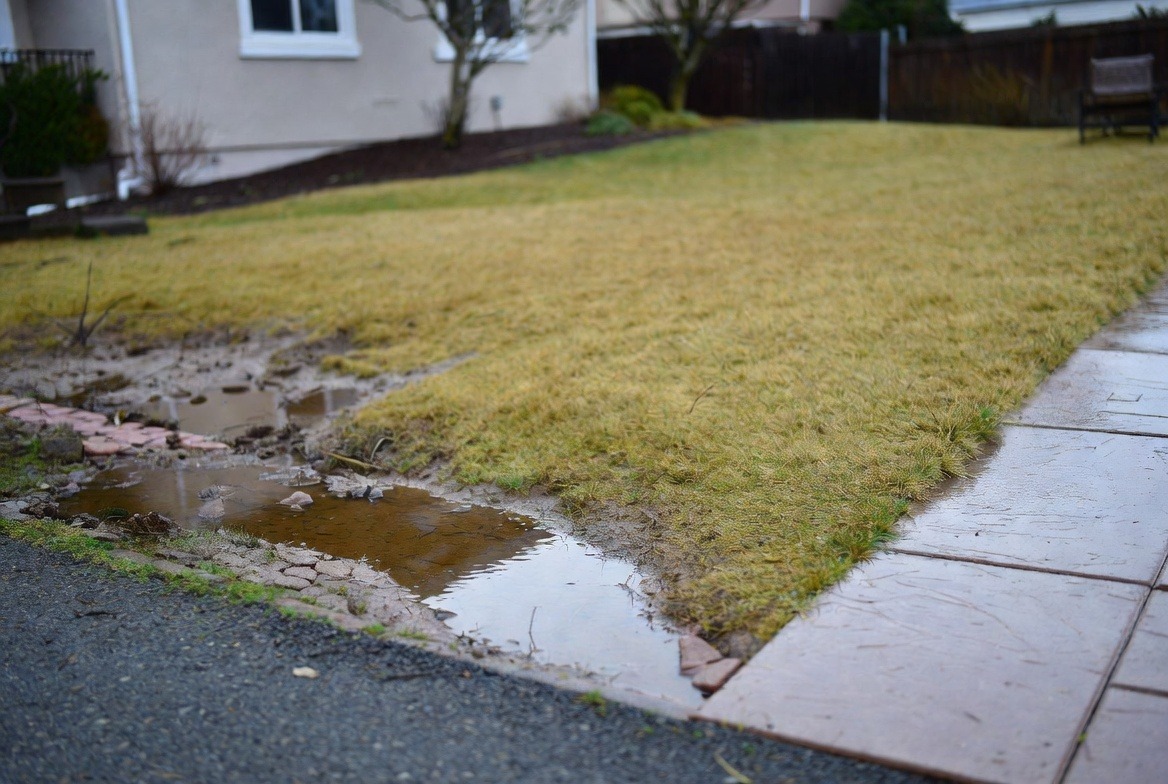 drainage standing water in yard