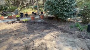 Matt surveying the freshly cleared backyard