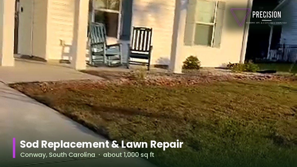 Newly laid sod along the front walkway of a home in Conway, South Carolina after a lawn repair