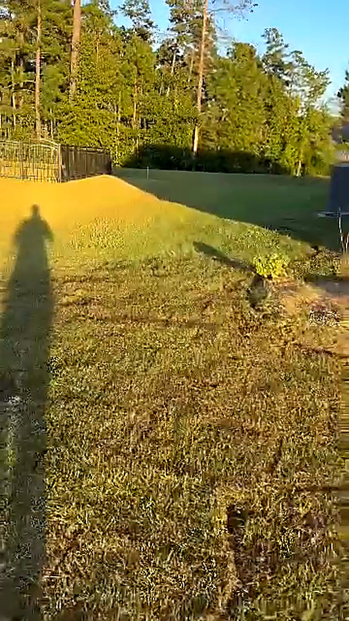 Newly laid sod meeting existing lawn with a clean edge and matched height in a residential side yard